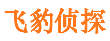 金山市私家侦探